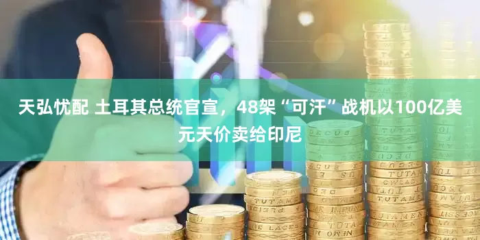 天弘忧配 土耳其总统官宣，48架“可汗”战机以100亿美元天价卖给印尼