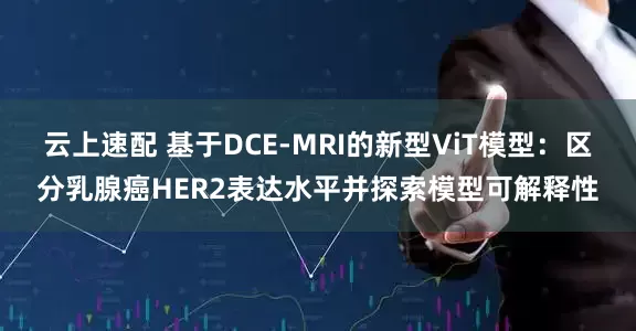 云上速配 基于DCE-MRI的新型ViT模型：区分乳腺癌HER2表达水平并探索模型可解释性