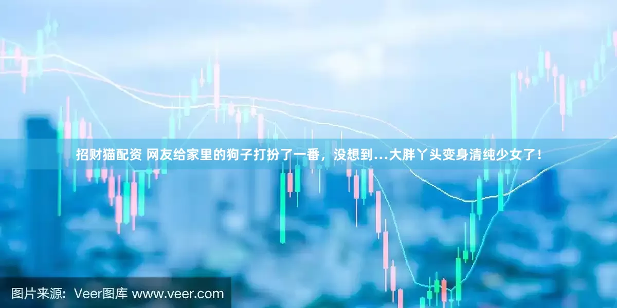 招财猫配资 网友给家里的狗子打扮了一番，没想到…大胖丫头变身清纯少女了！